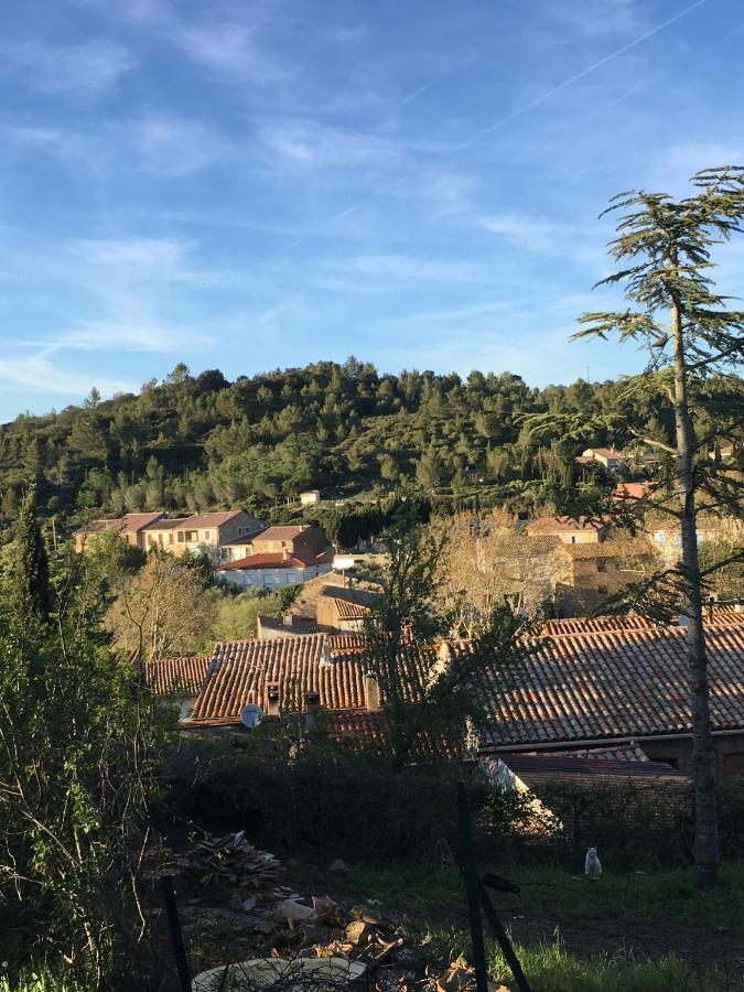 Chambres D Hotes Le Clos Des Vins D Anges Saint-Pierre-des-Champs Buitenkant foto