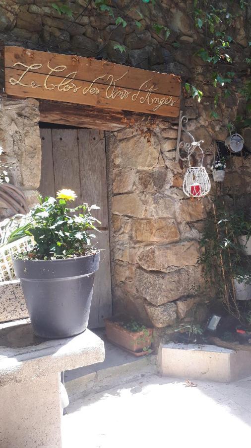 Chambres D Hotes Le Clos Des Vins D Anges Saint-Pierre-des-Champs Buitenkant foto